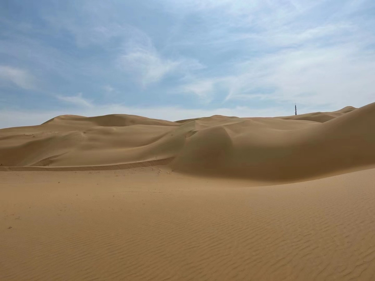 1725955747412205.jpg 1-230626155T3b3.jpg